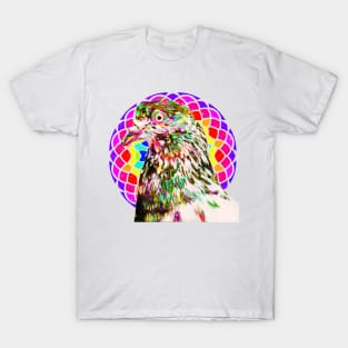 Pigeon Mandala T-Shirt